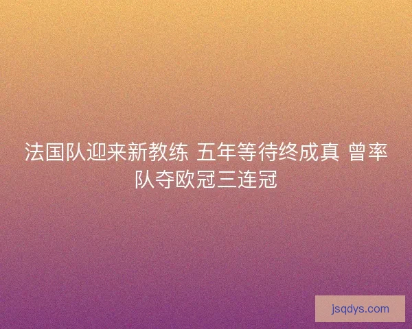 法国队迎来新教练 五年等待终成真 曾率队夺欧冠三连冠